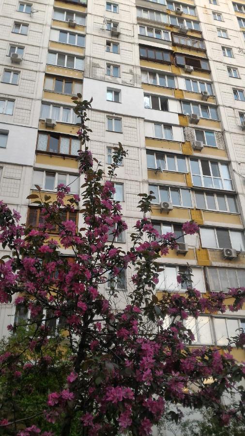 Однокімнатна на Троєщині - B&B