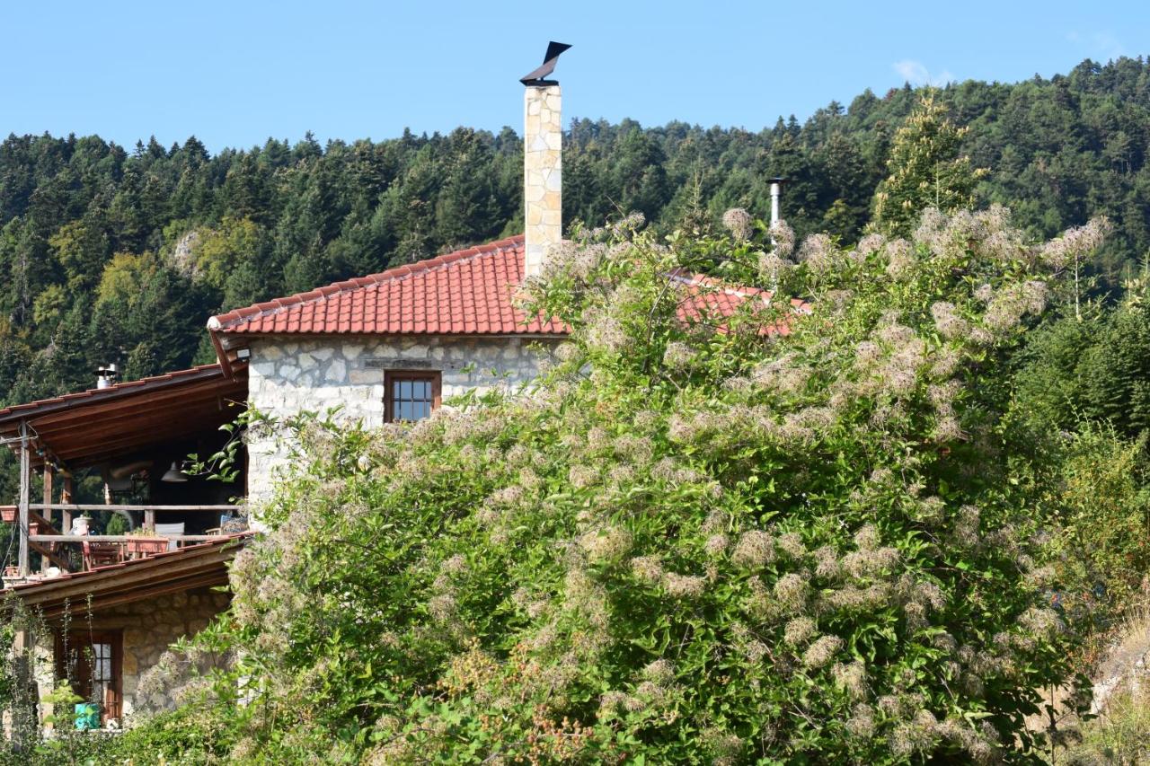 B&B Ano Trikala - Arli House - Bed and Breakfast Ano Trikala