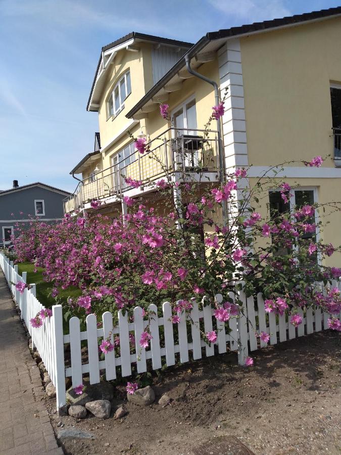 Haus Malve Dahme - Ferienwohnung