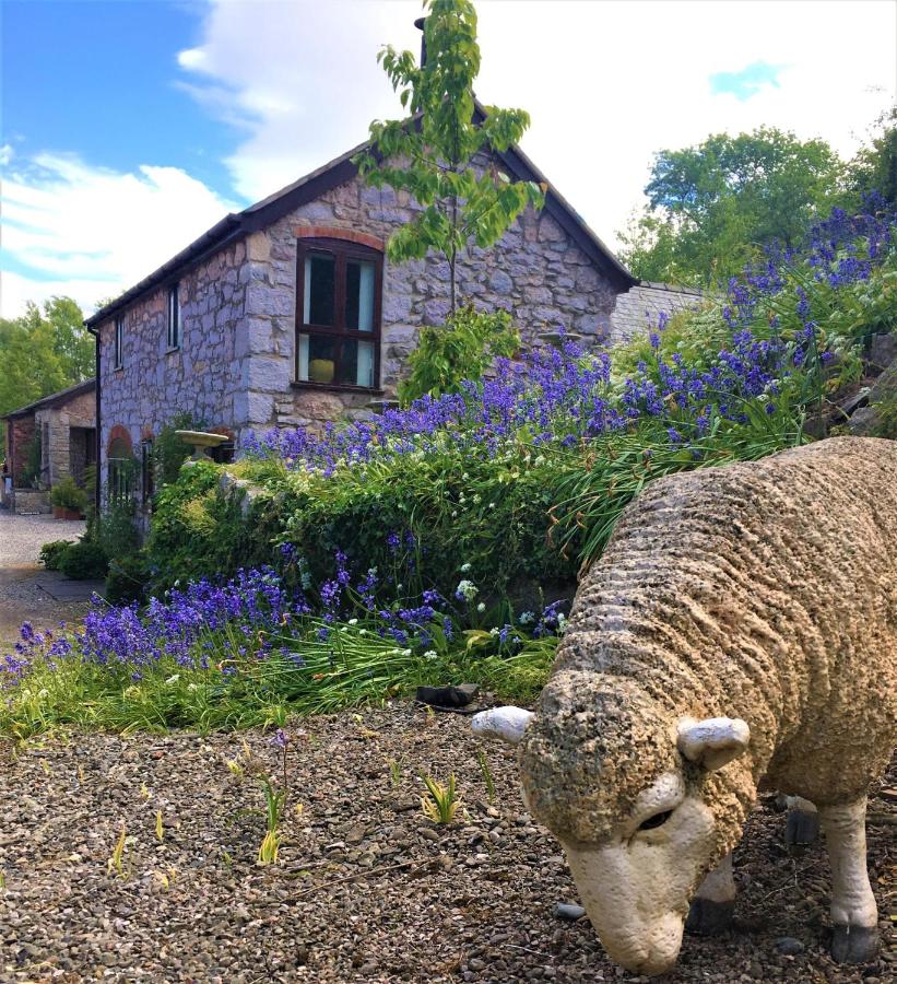 B&B Ruthin - The Coach House - Bed and Breakfast Ruthin