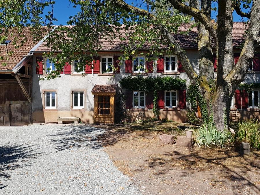 B&B Rougegoutte - Le jardin des gouttes - Bed and Breakfast Rougegoutte