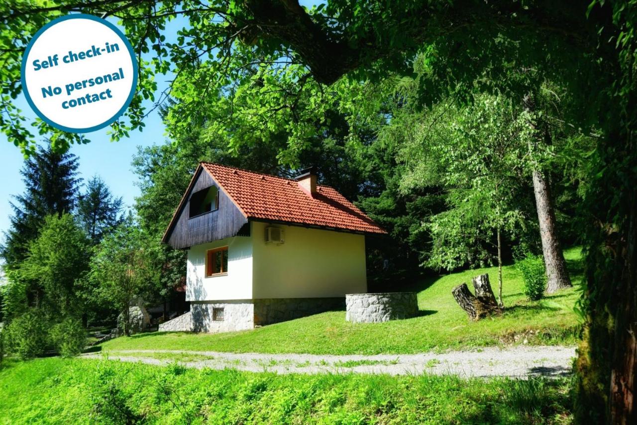 B&B Vrhnika - Sweet Stay Forest House - Bed and Breakfast Vrhnika