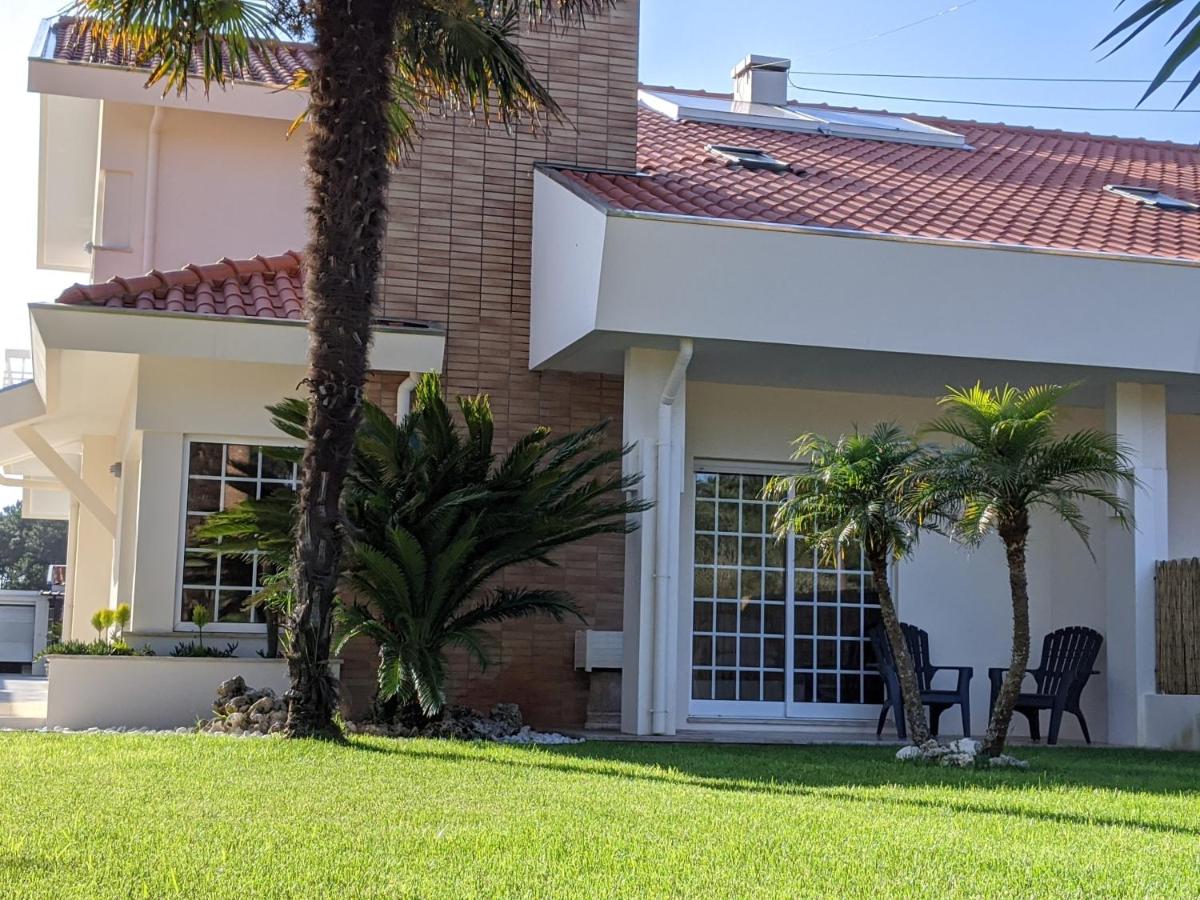 The Palm House - B&B