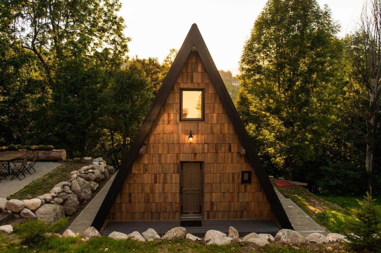 Hai La Munte Bran - B&B Bran