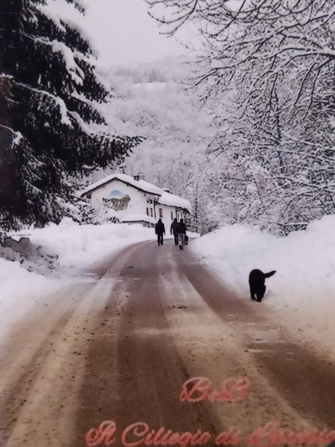 Il Ciliegio di Lurisia - Chambres d’hôtes Lurisia