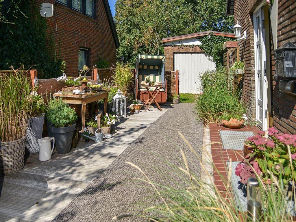 Dünenrose - B&B Tinnum