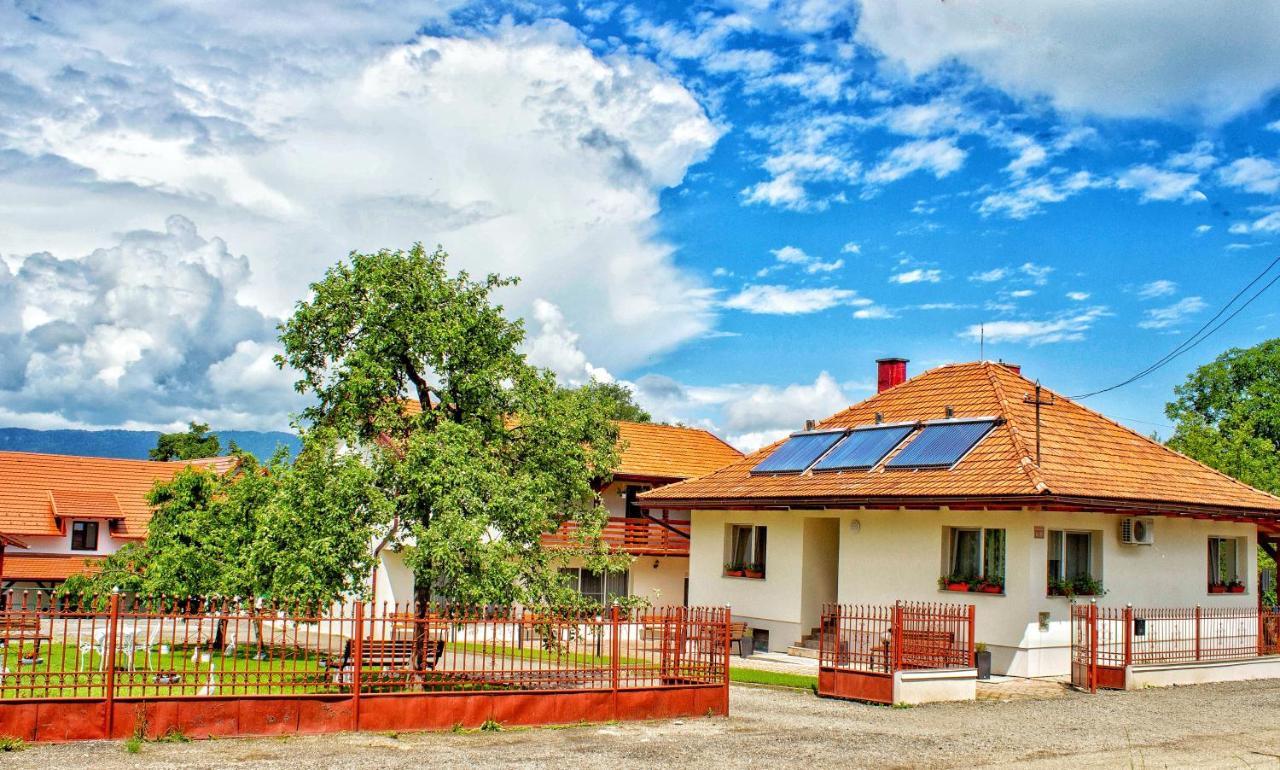 Pensiunea Mariana - B&B Ocna Şugatag