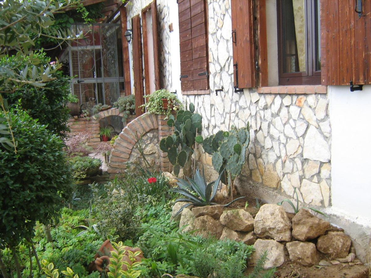 B&B Le Palme d'Oro - B&B