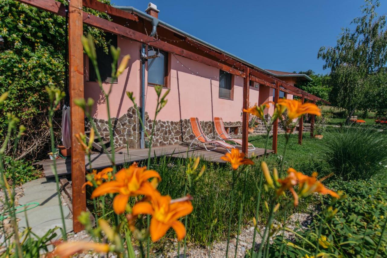 Panorama Vegapansion - Ferienwohnung