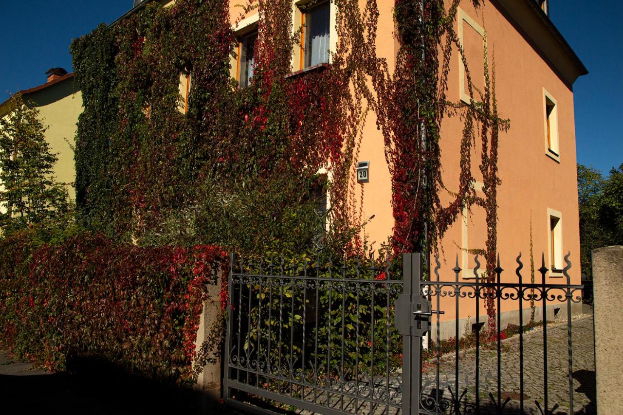 Frank´s Ferienwohnung in Dresden - Ferienwohnung Dresden