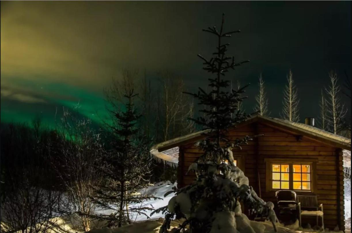 Arngrimslundur log cabin - cabin 3 - B&B