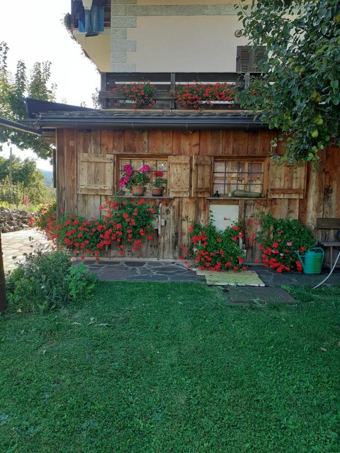 Maso Pinterato - Bed and Breakfast