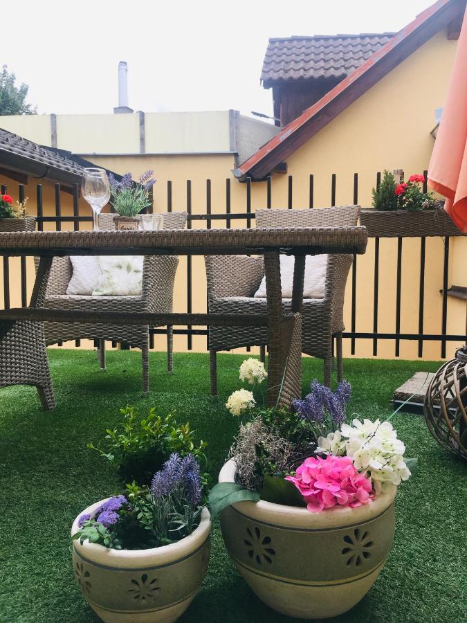 Dům u lázní Federer - B&B Třeboň