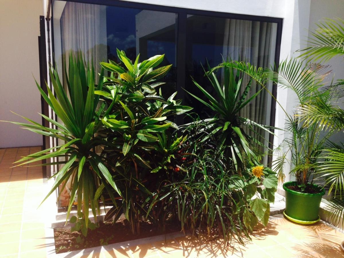 Studio with Terrace
