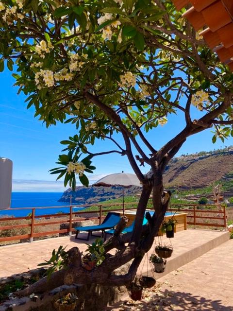 Rincón del Mar , Espacio Natural - B&B