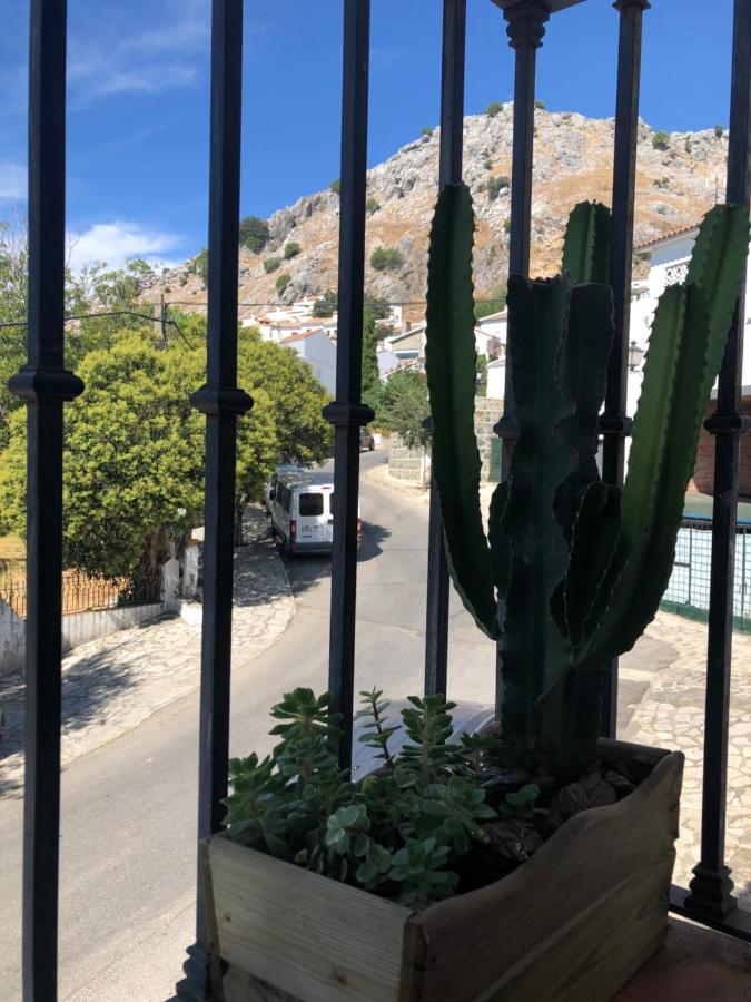 Apartamento Ocuri - B&B Benaocaz