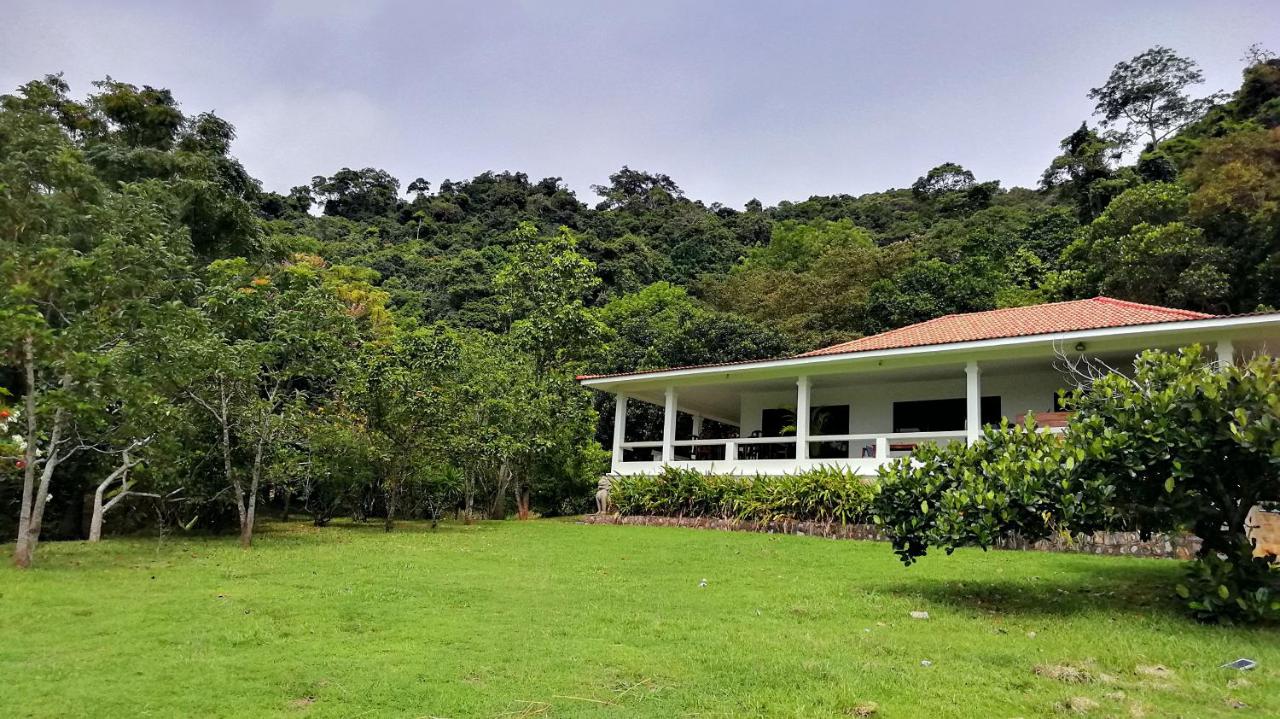 Q Bungalows - B&B