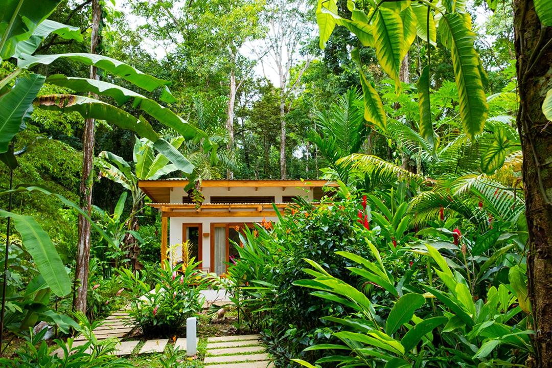 Bungalow con vistas al jardín