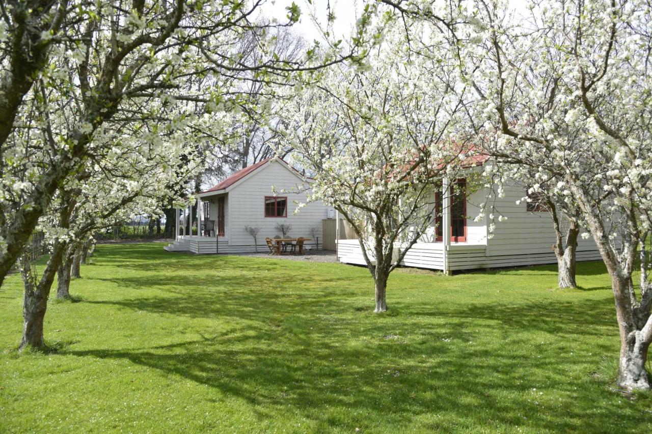 Terracotta Lodge & Cottages - B&B
