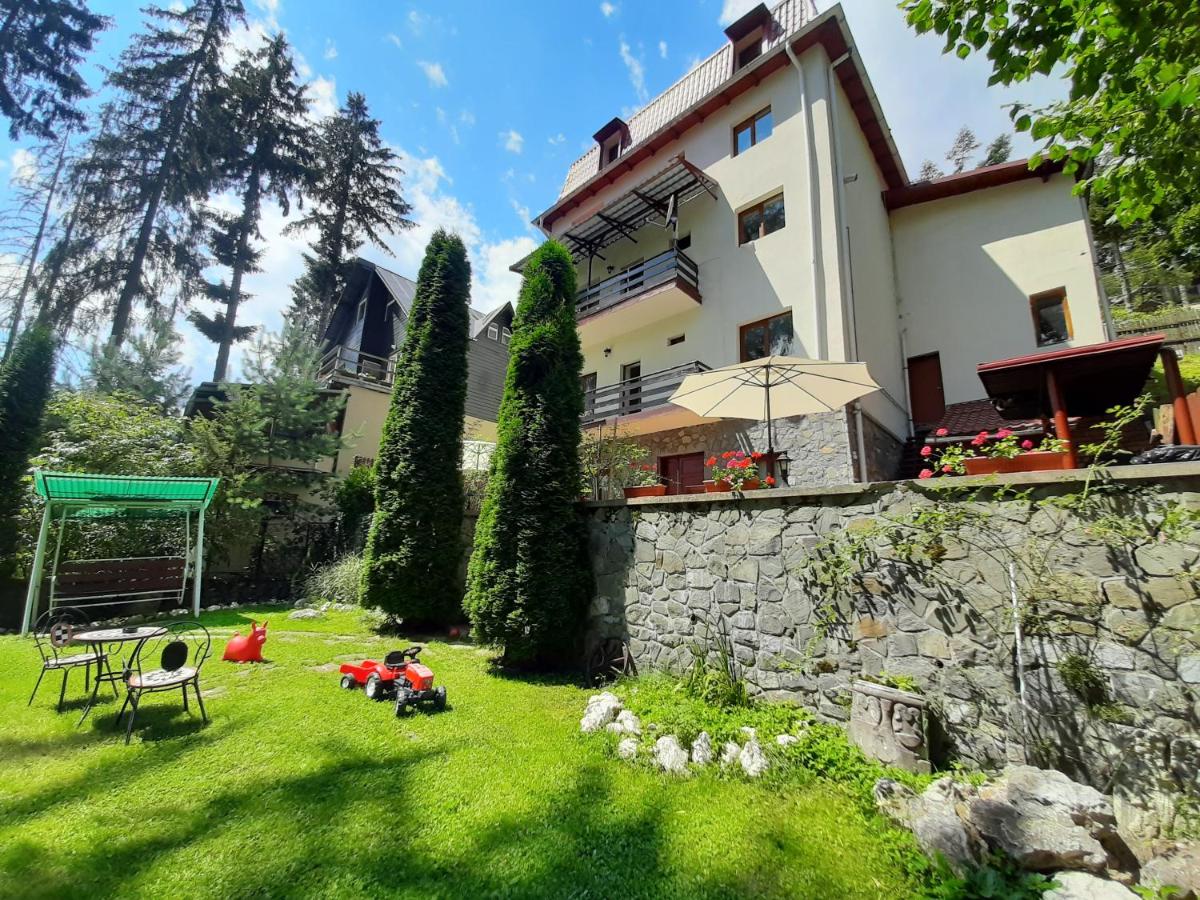 B&B Sinaia - Vila Felix - Bed and Breakfast Sinaia