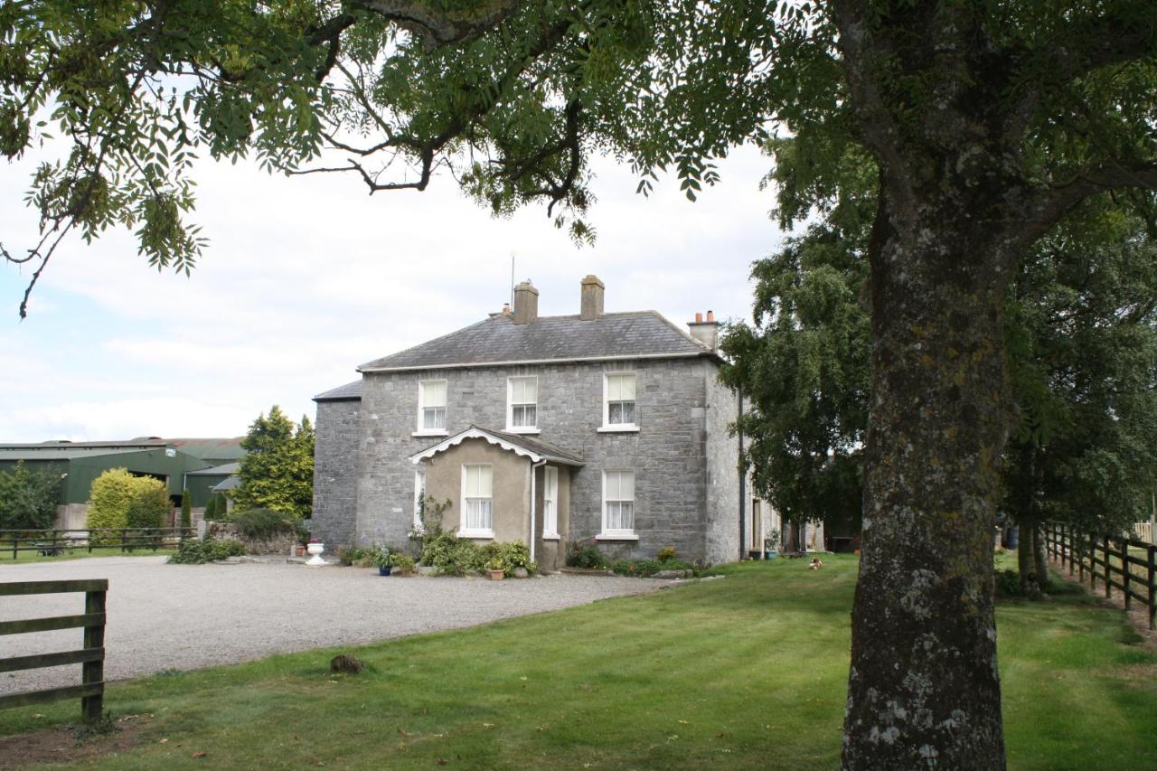 B&B Athy - Moate Lodge - Bed and Breakfast Athy