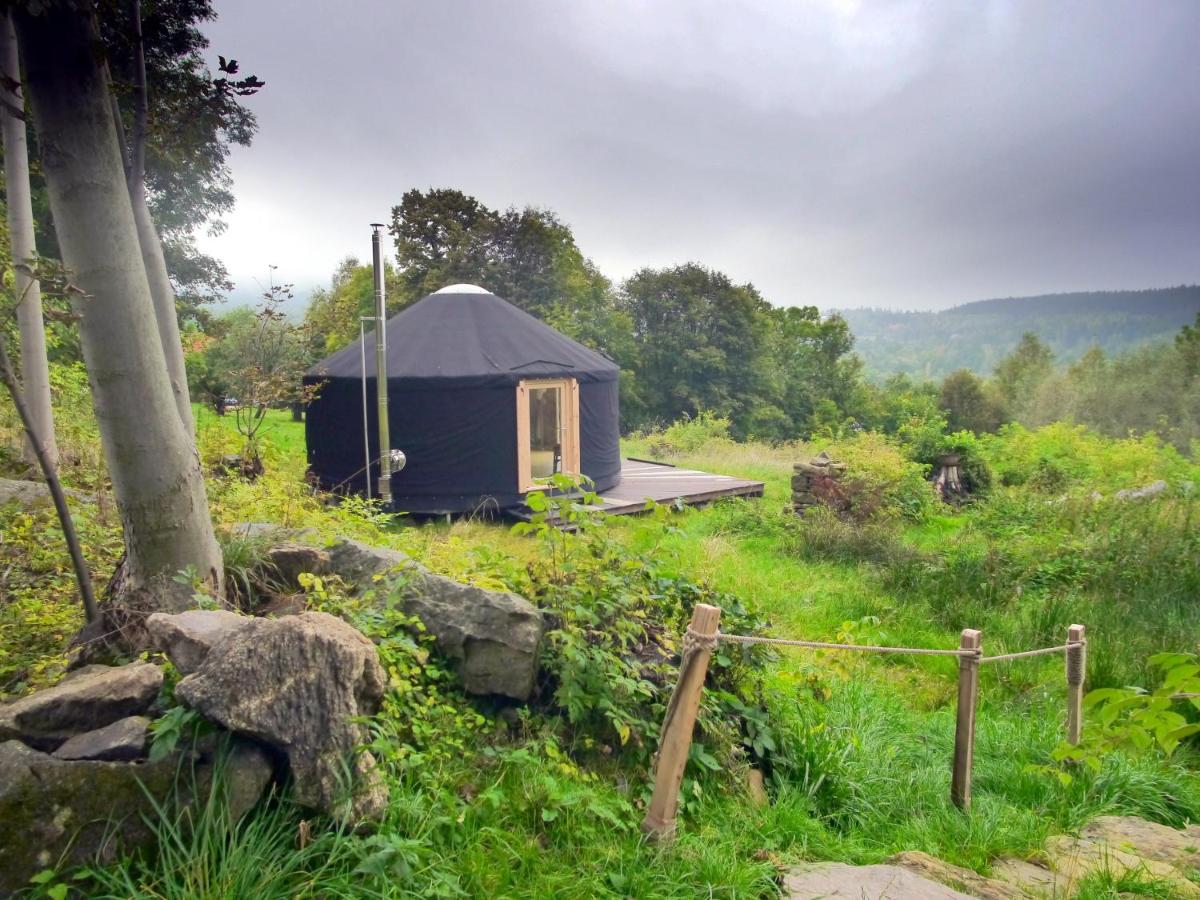 B&B Stara Kamienica - Black Yurt Chromiec - Bed and Breakfast Stara Kamienica