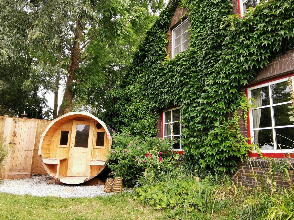 Haus am Deich - Ferienwohnung