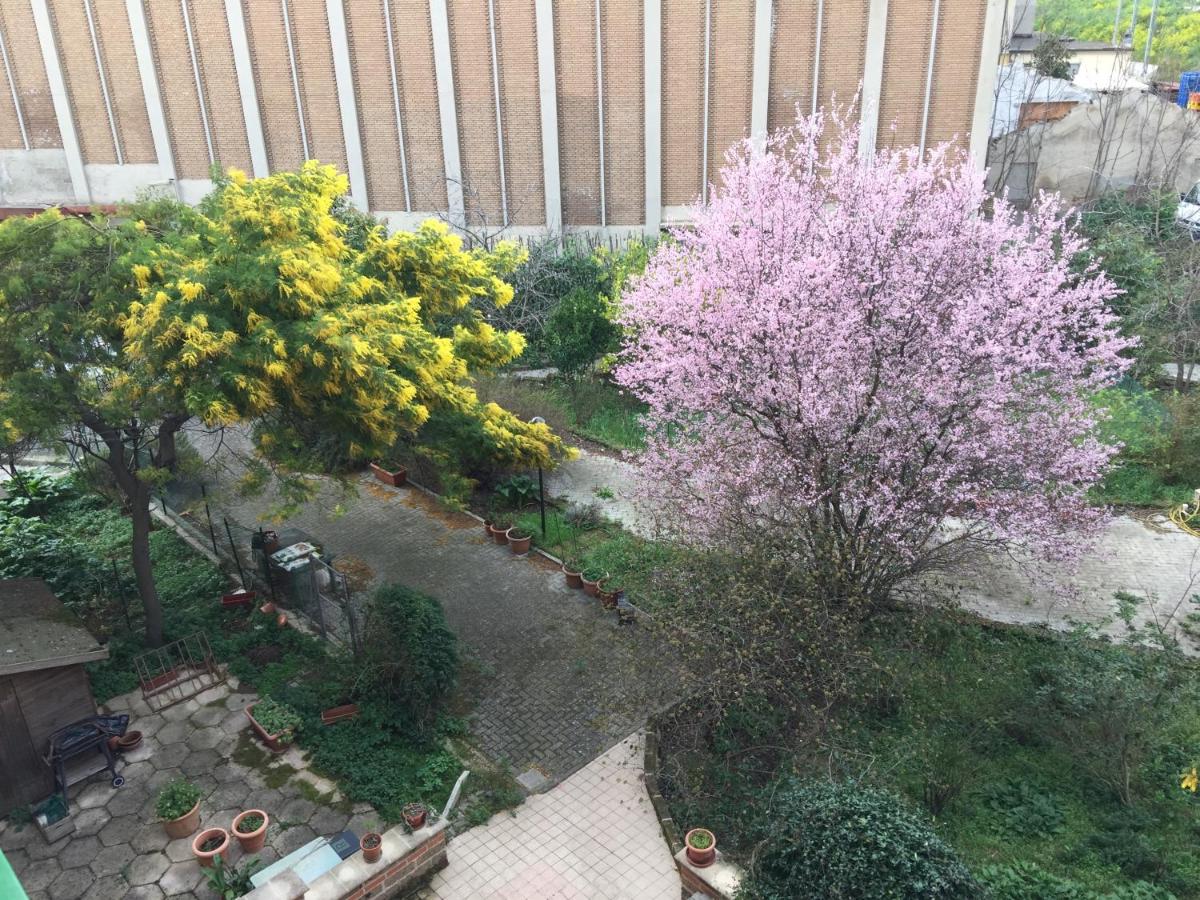 La Maison Di Carla - Ferienwohnung Ancona