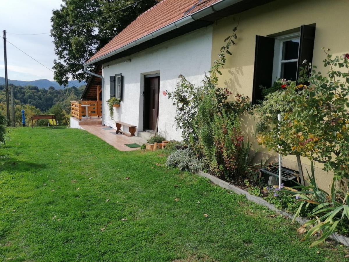 Rural house above the forest - B&B Gornja Voća