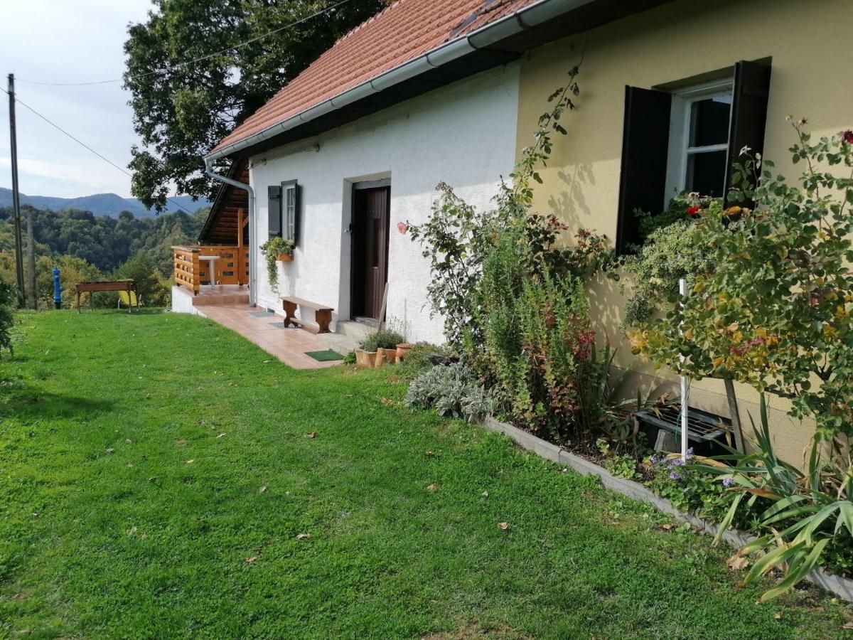 B&B Gornja Voća - Rural house above the forest - Bed and Breakfast Gornja Voća