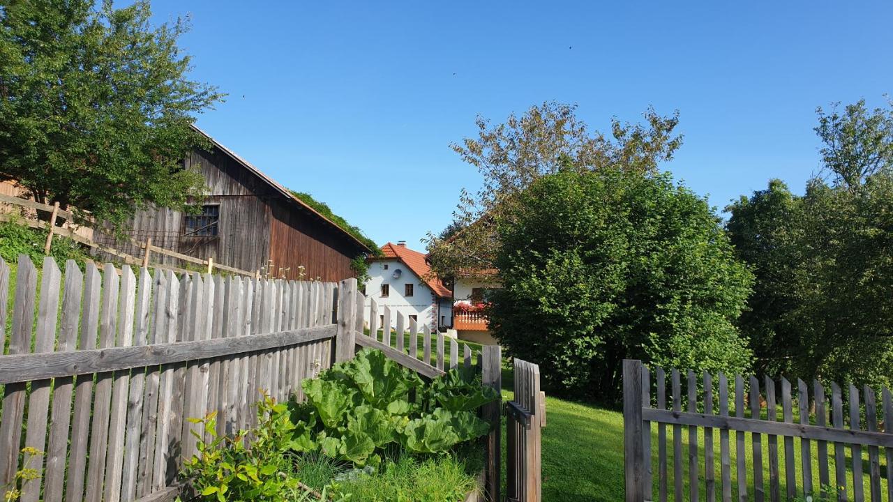 Apartma Lesjak - pobeg v naravo - B&B Mozirje