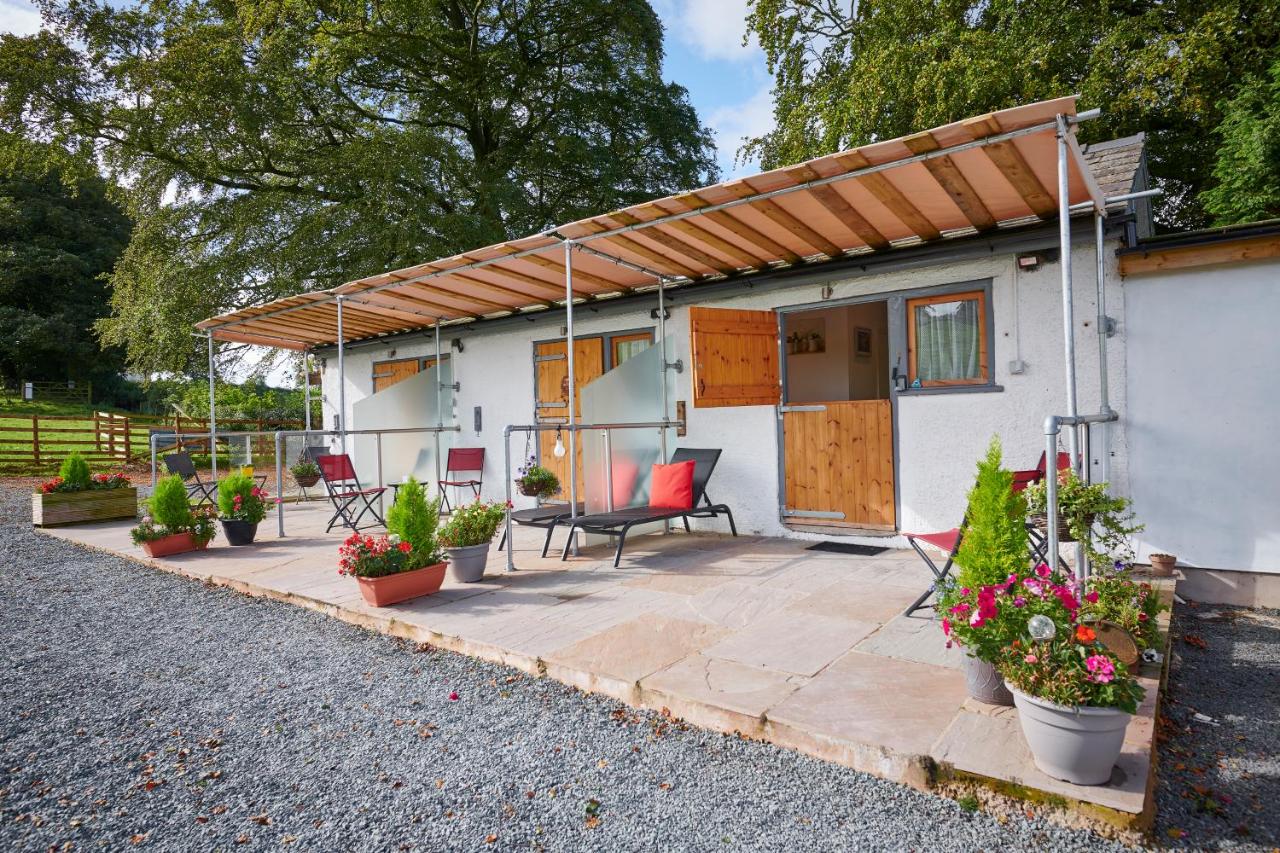 Newlands Farm Stables - B&B