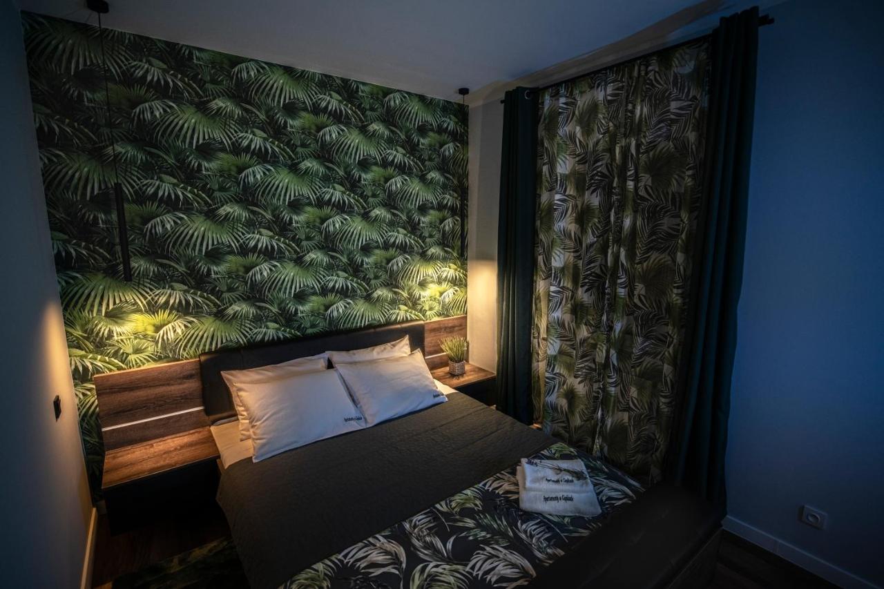 Apartament w Cieplicach Comfort - Chambres d'hôtes Jelenia Góra