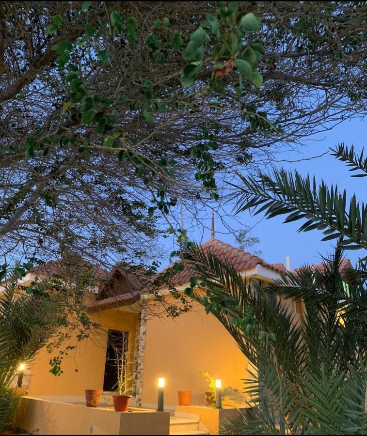 B&B Umluj - استراحة البيت الريفي - Bed and Breakfast Umluj