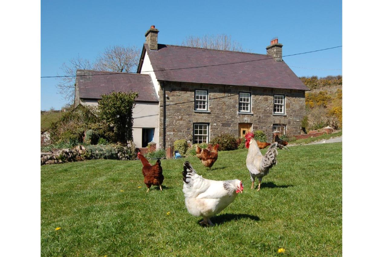 Nantgwynfaen Organic Farm Wales - B&B Llandysul