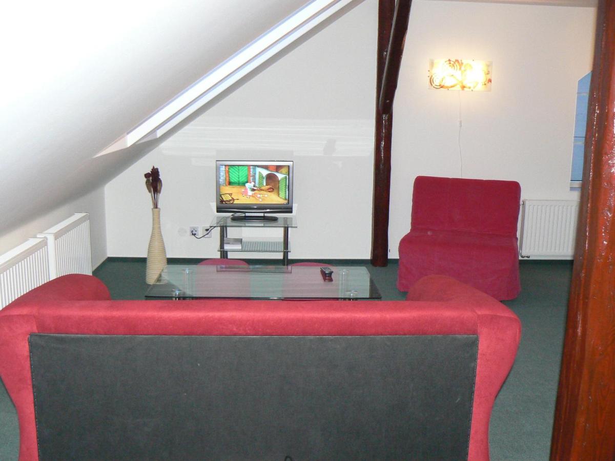Large One-Bedroom Apartment