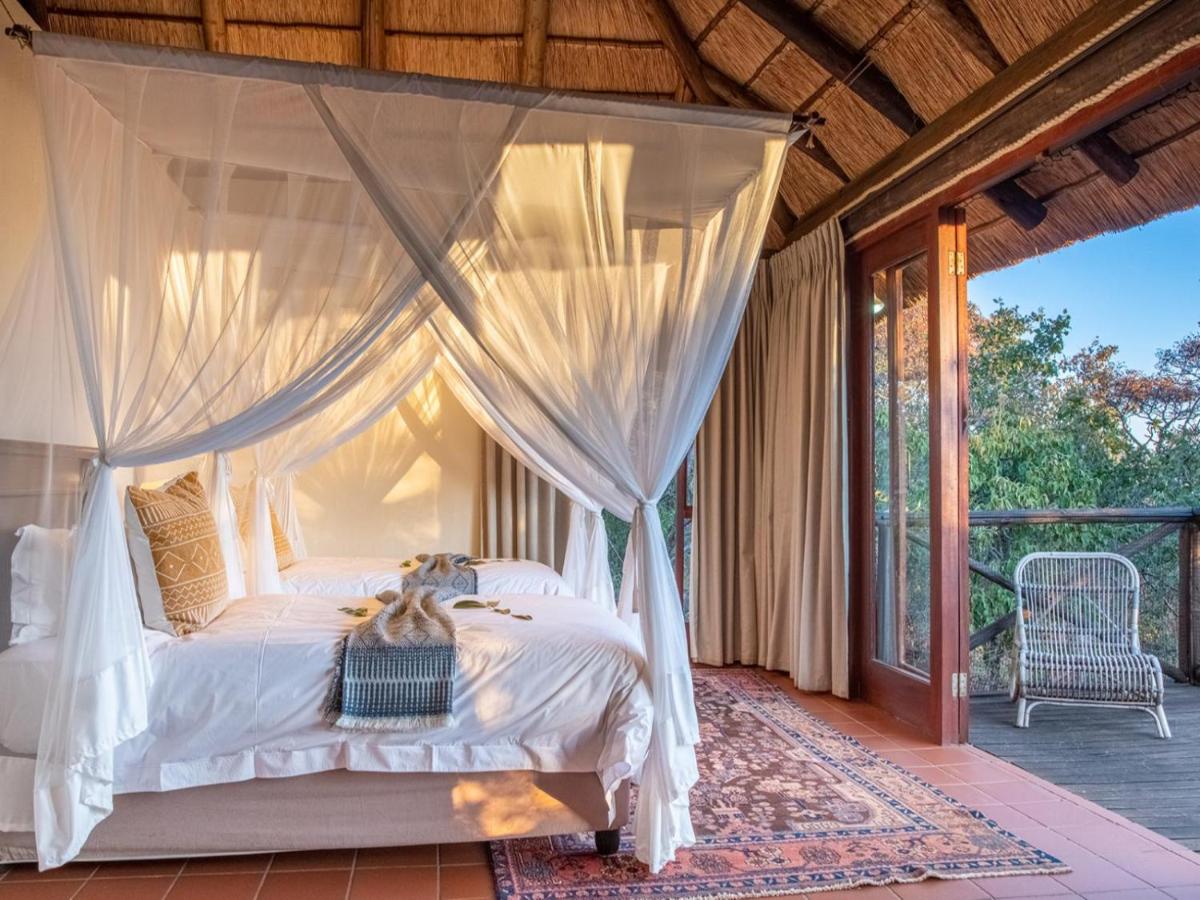 Suite Luxury