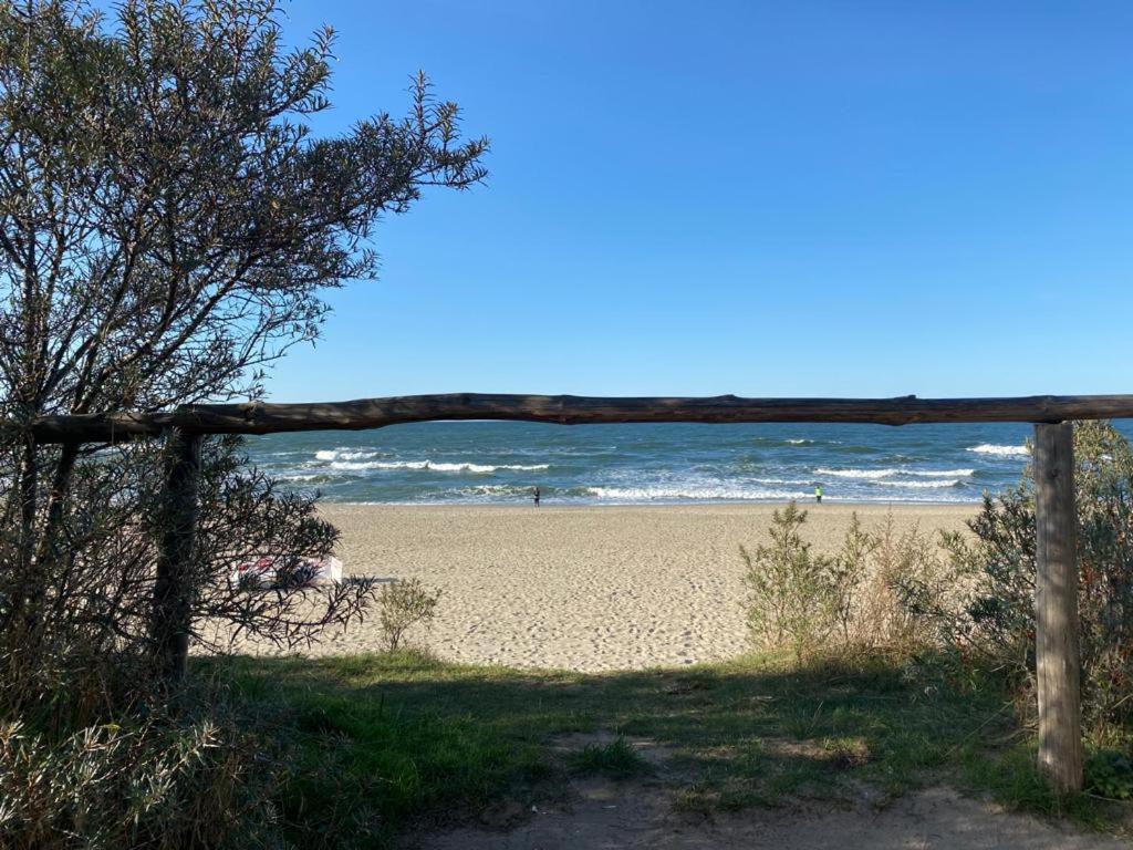 Apartament Słoneczny Brzeg - Ferienwohnung