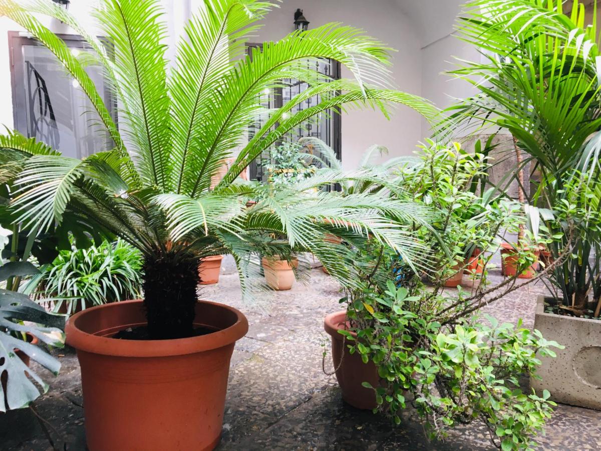 B&B Fiumara - B&B Naples