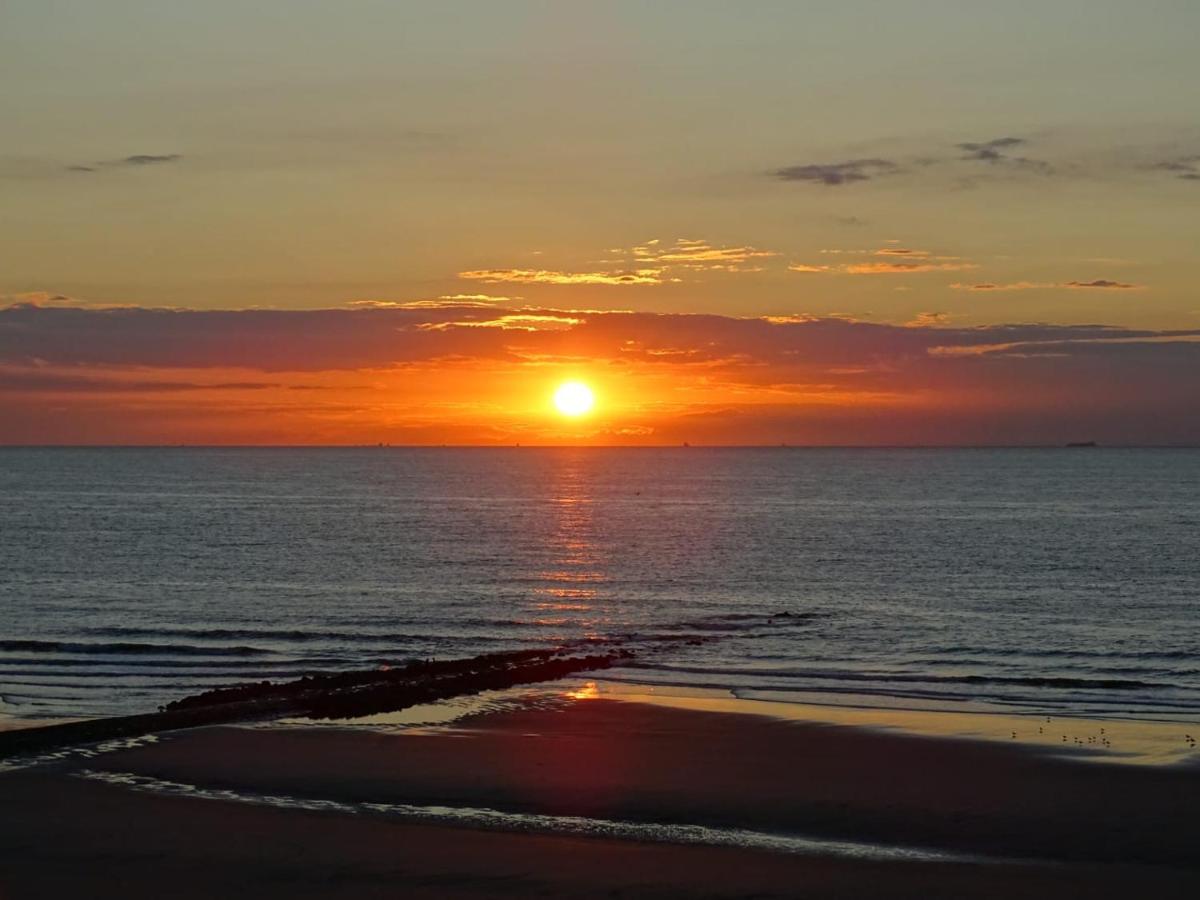 Modern studio direct Seaview & free parking - B&B