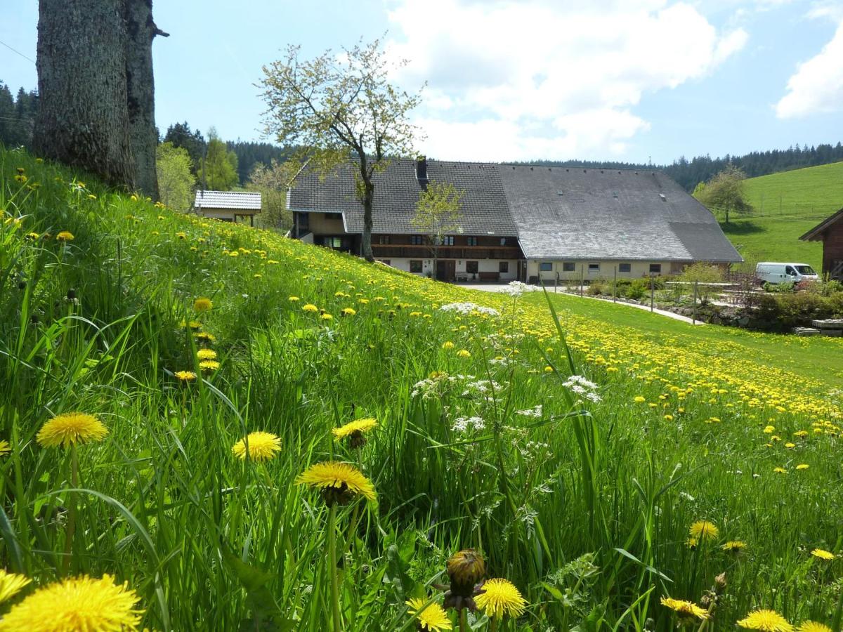 B&B Breitnau - Biobetrieb Lippenhof - Bed and Breakfast Breitnau