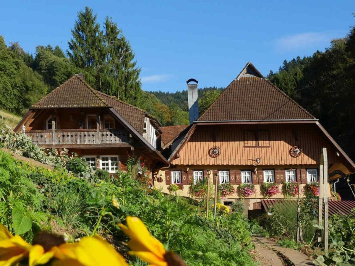 B&B Oberharmersbach - Hinterbauer Hof - Bed and Breakfast Oberharmersbach