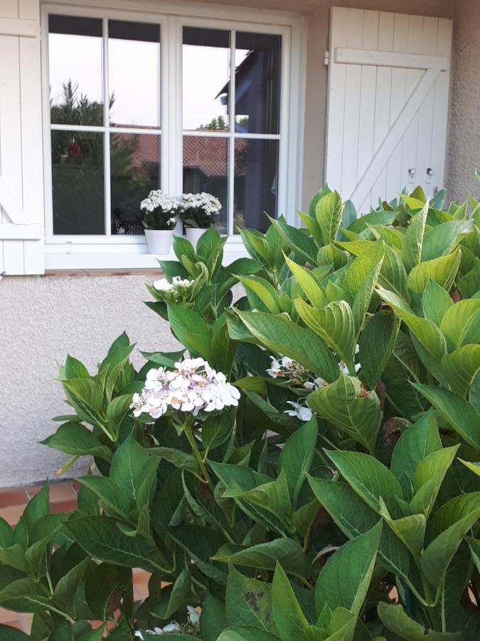 Maison ruisseau l'eau blanche - B&B