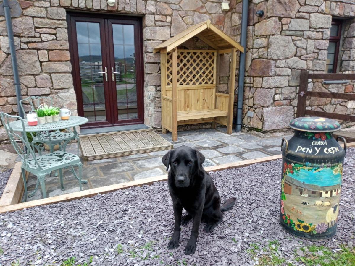 Conwy Pen Cefn Farm Holiday - B&B