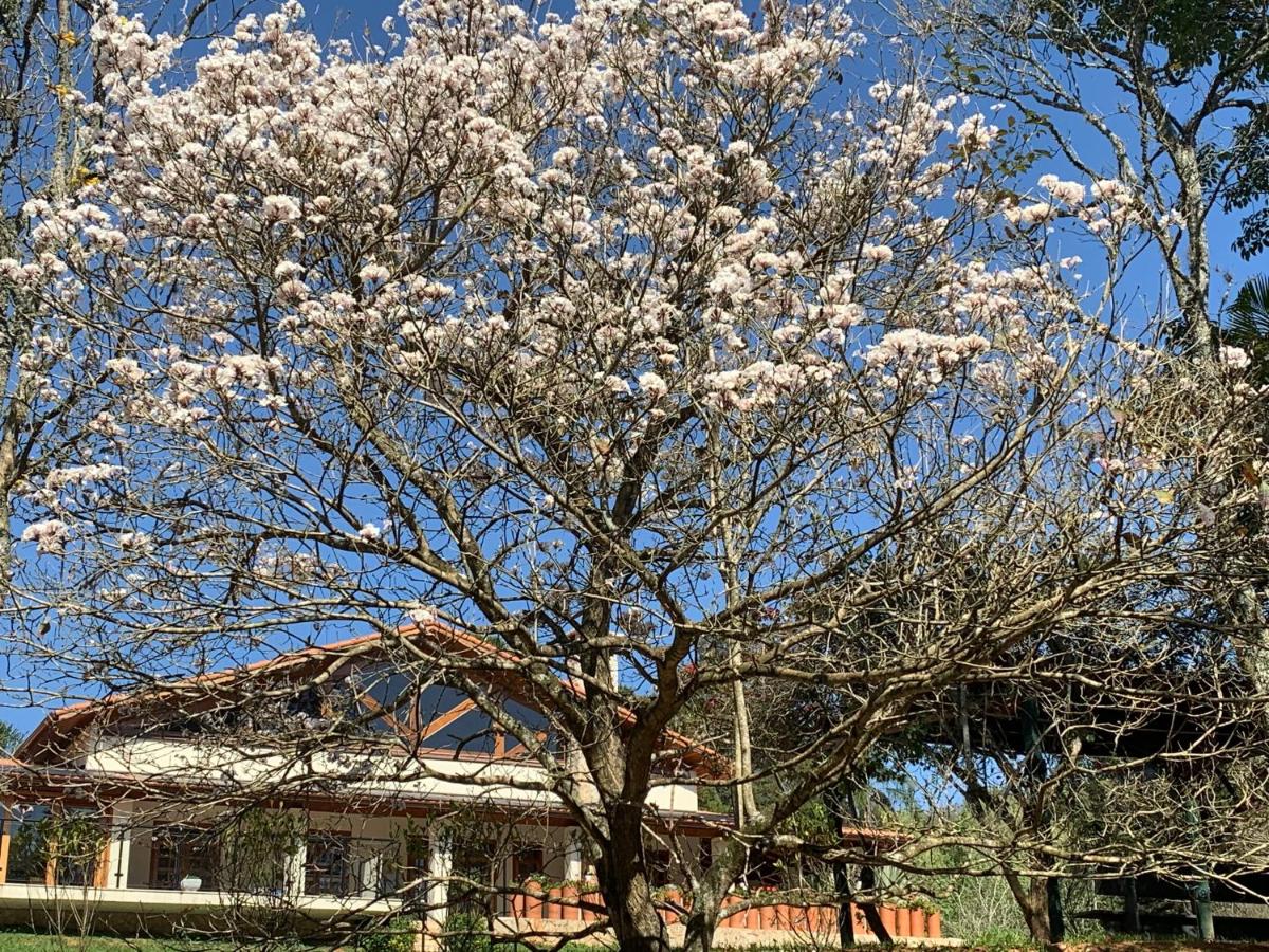 Gardenian Boutique Hotel - B&B São Roque