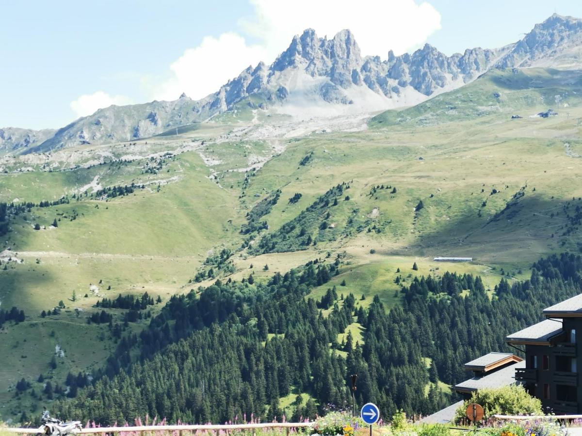 Le Creux de l'Ours - au pied des pistes - animaux acceptés - B&B Méribel