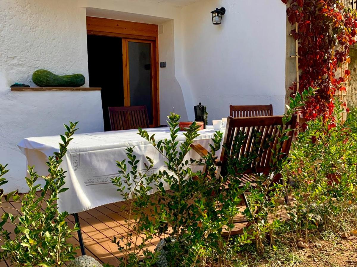 Casa Rural Arenal - B&B Torrijo de la Cañada