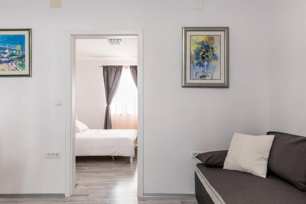 Appartement 1 Chambre