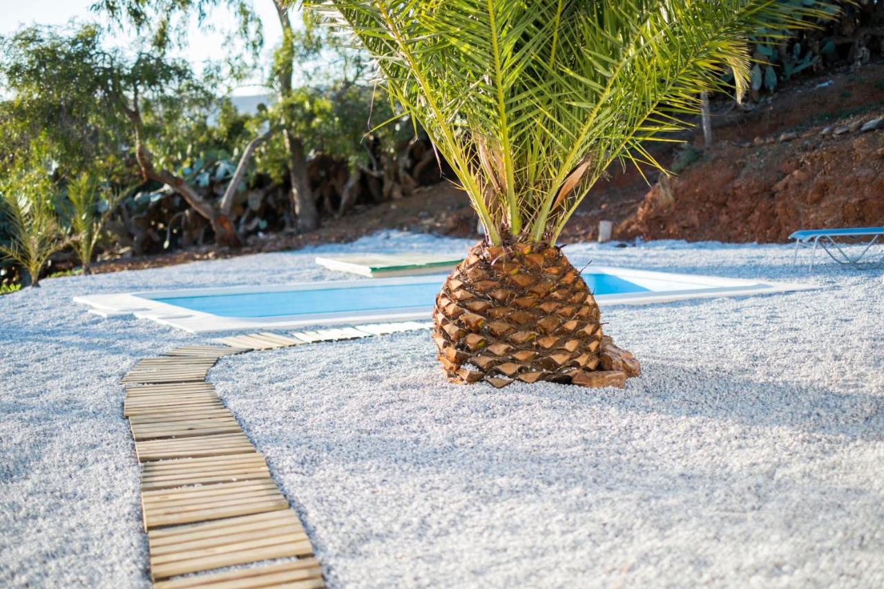 Finca Buenavista - B&B