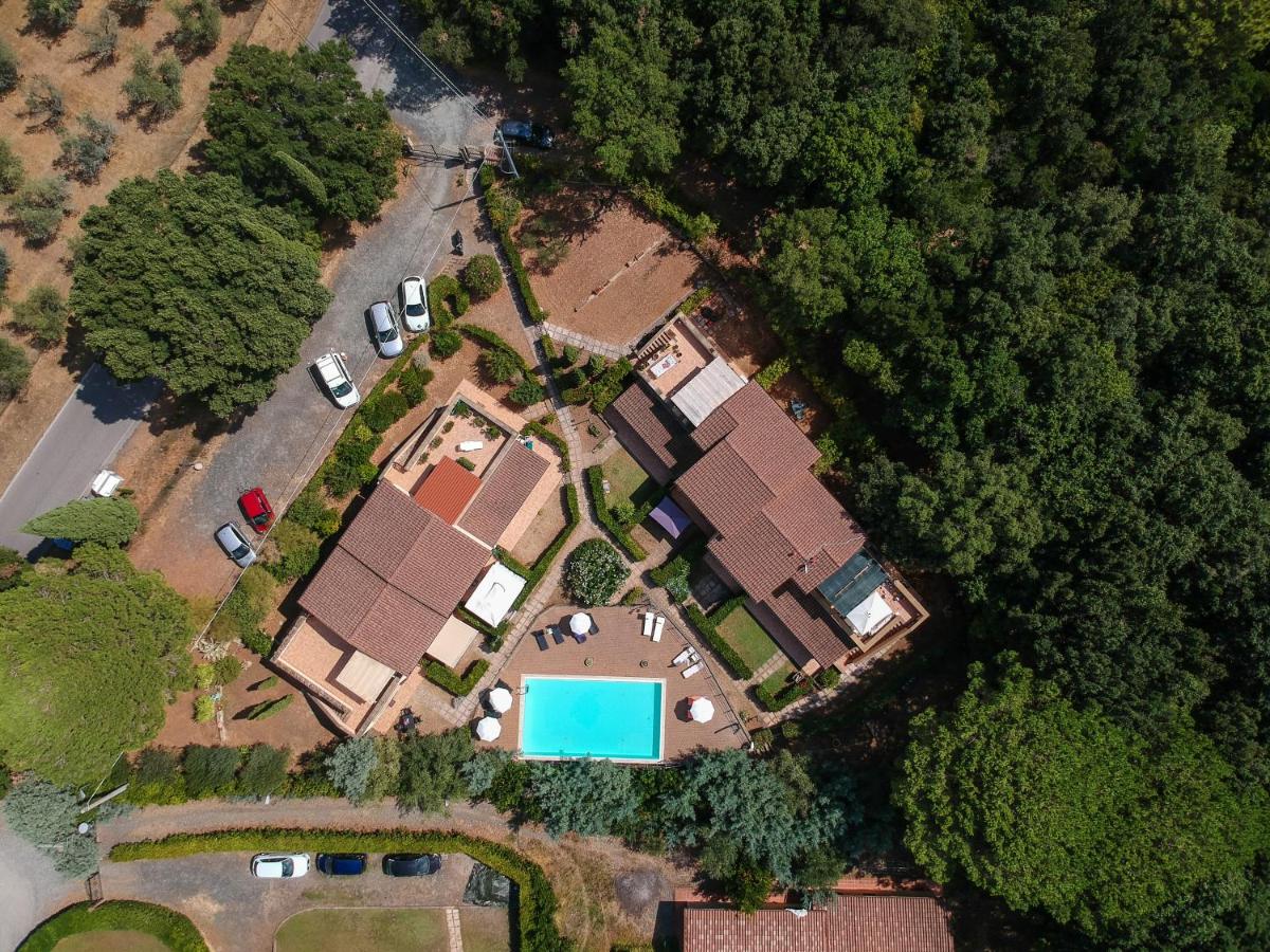 Matteo's Apartments - B&B Guardistallo